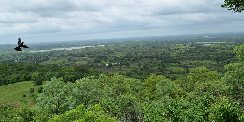 Wide landscape with scattered trees and a distant water body under a cloudy sky with a bird.
