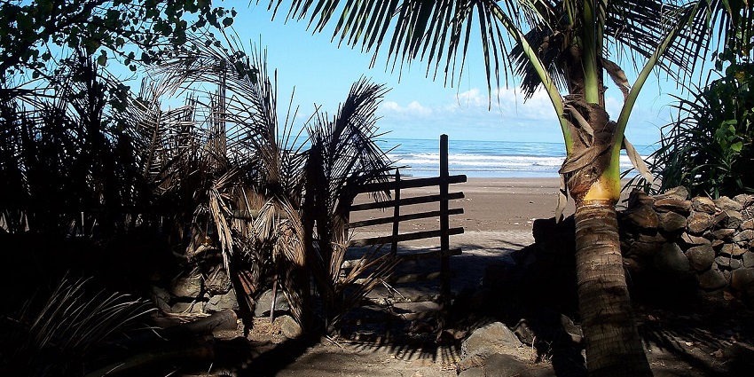 Sandy beach seen through coconut trees and wooden gates under the blue sky.