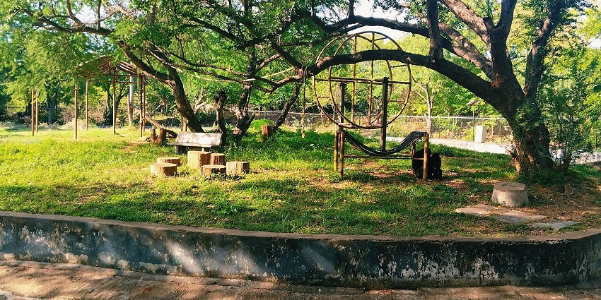 Arignar Anna Zoological Park, one of the scenic places to visit near Chennai in July.
