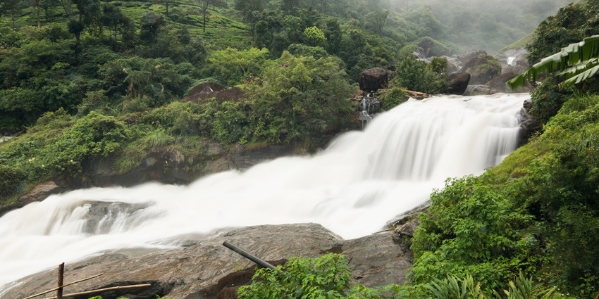 Attukad waterfalls, with water flowing on the rocky surface, are surrounded by lush greenery.