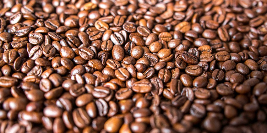 Coffee beans from Chikmagalur, the birthplace of coffee in India, showing what is Chikmagalur famous for.