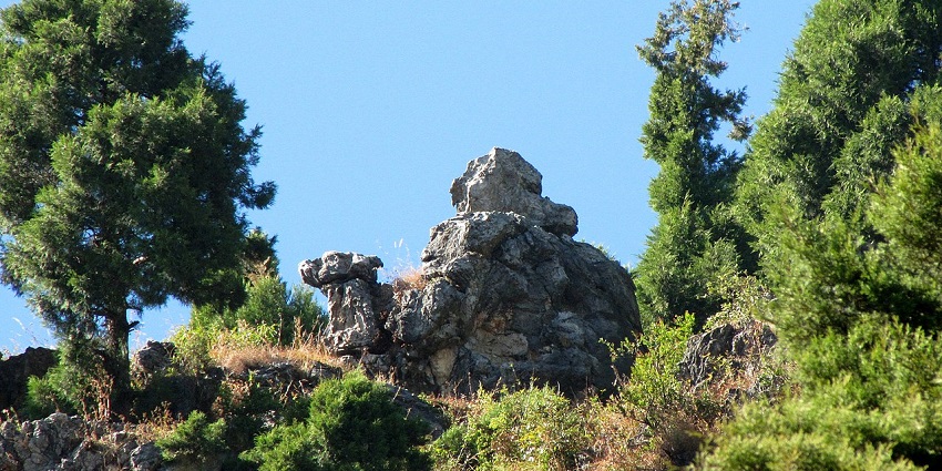 The camel of the camel’s back road with unique rock formations and surrounded by greenery.
