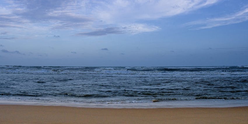 Chandipur Beach in Odisha with calm waters and a sandy shoreline under clear skies.