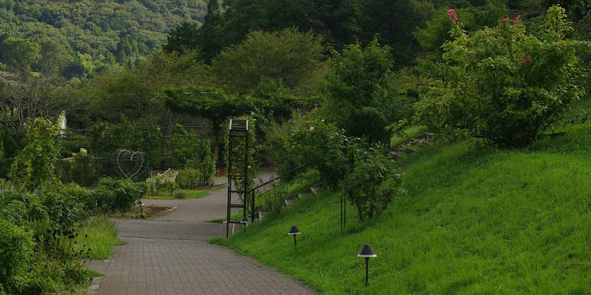 Lush greenery at Chetpet Ecopark, one of the peaceful places to visit near Chennai in July.
