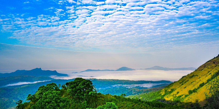 Scenic view of the Chikmagalur hills covered with lush green forests under a clear sky.