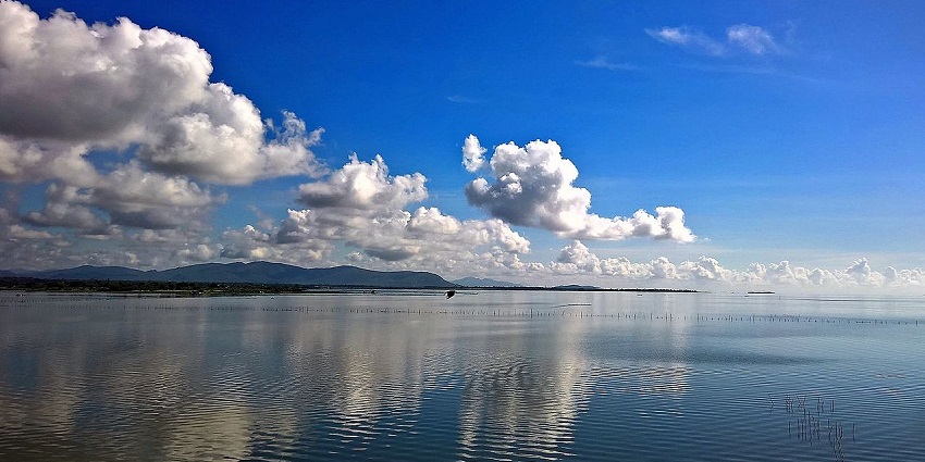 Chilika Lake shows a peaceful, calm water surface with a serene natural setting.