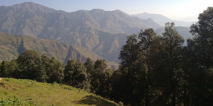 Rolling mountains under a clear blue sky, with dense forest at the sunlit foreground.