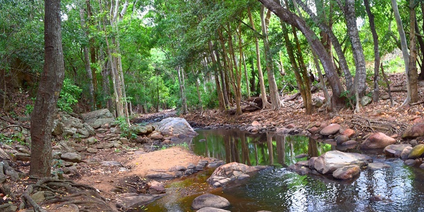 Chinnar Wildlife Sanctuary with tall trees, rocks, and water in a natural landscape.