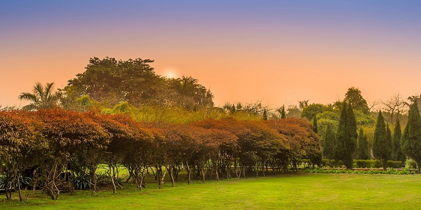 City park in Greater Noida with unique small red trees, tall green trees, grass and sunset.
