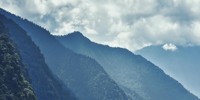 Cloud’s End mountain view with dense forest is one of the scenic places to visit in Mussoorie near Kempty Falls.
