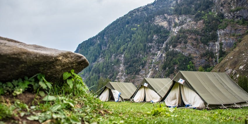 A peaceful forest campsite surrounded by dense greenery and natural wilderness.