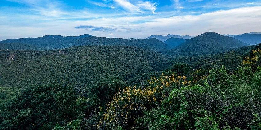 Devarayanadurga green hills, one of the most scenic places to visit near Gubbi.
