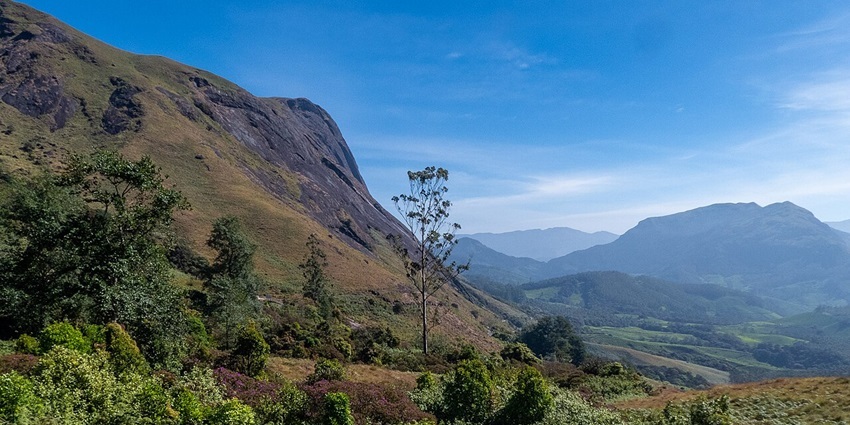 Eravikulam National Park, with brown grass, green bushes, and trees, one of the places to visit near Anachal.