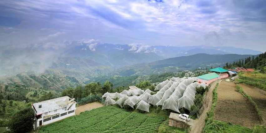 Green hills and netting-covered plantations of the farmlands of the village of Fagu