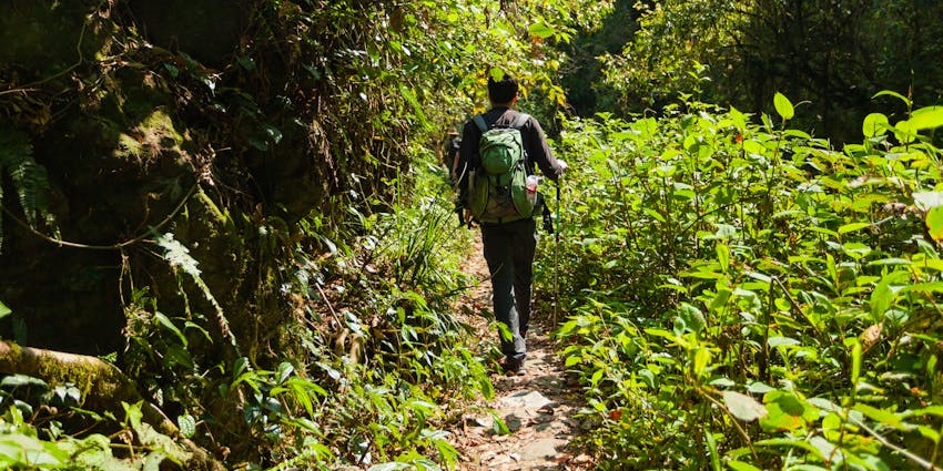 Trek trail surrounded by trees, one of the serene places to visit near Harihareshwar Beach.
