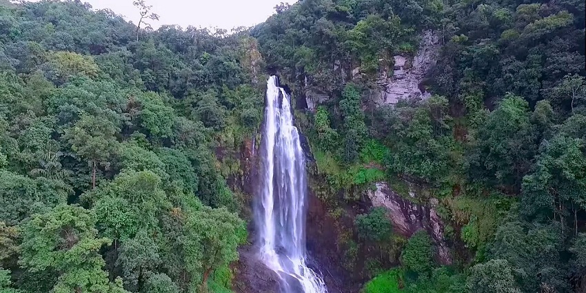 Tall waterfall cascading down a rocky cliff surrounded by dense green tree forest
