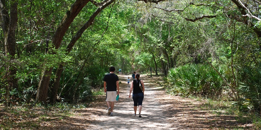 GTM research reserve in Florida with people walking on the trail and lush greenery, one of the best things to see in Ponte Vedra Beach FL.