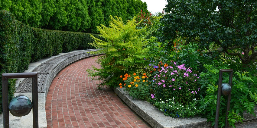 Tree-lined walkway at Indian Botanic Garden, one of the scenic places to visit near Howrah Station.