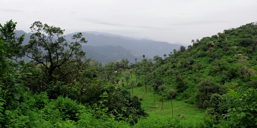 Janapav Kuti hilltop view with greenery, one of the serene places to visit near Indore in July.

