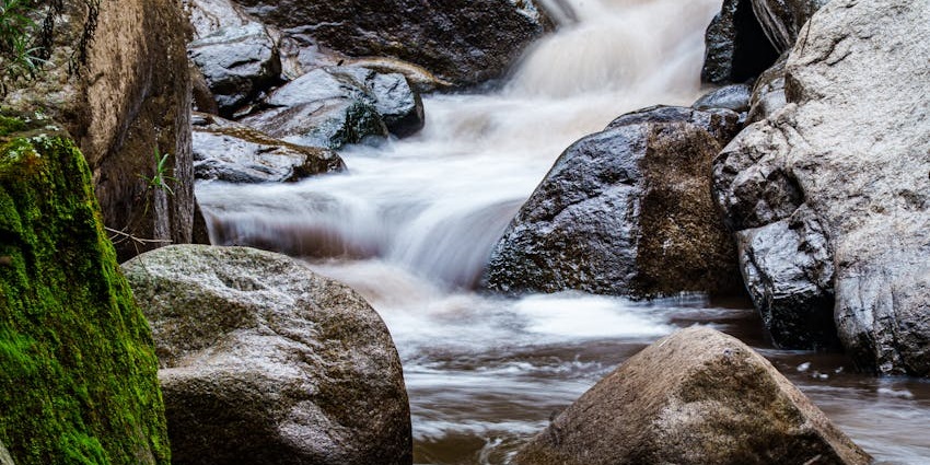 A serene forest stream over mossy rocks at Jomlu Theertha, among the top places to visit near Hebri.
