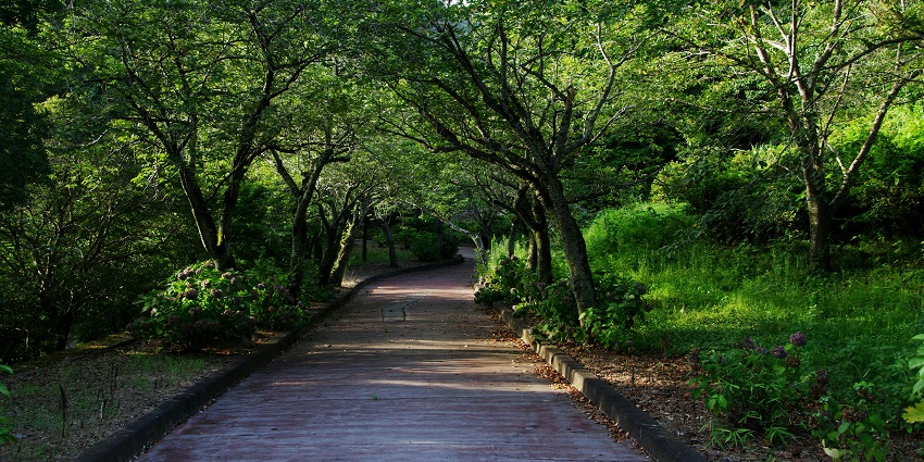 Kamala Nehru Park walkway with lush greenery, one of the scenic places to visit near Hanging Garden.
