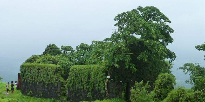 Karnala Fort surrounded by greenery with ancient architecture and lush vegetation.