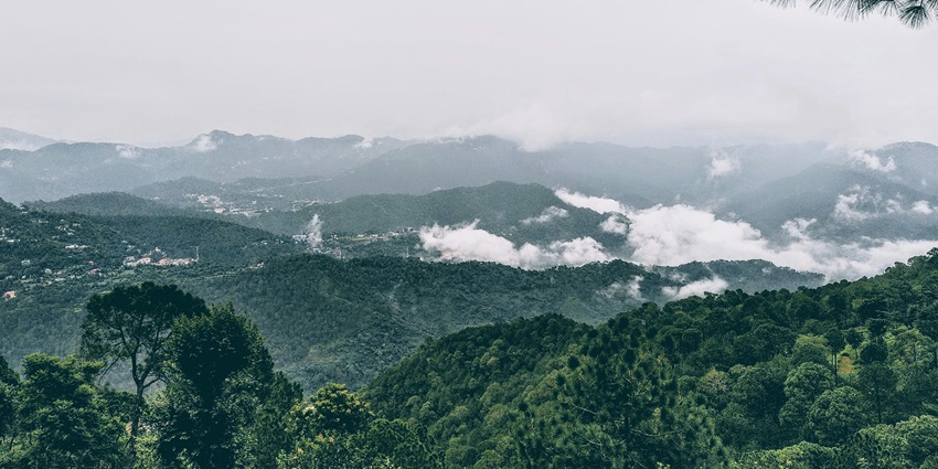 Lush green mountains in Kasauli partially covered by drifting clouds on a calm, misty day.