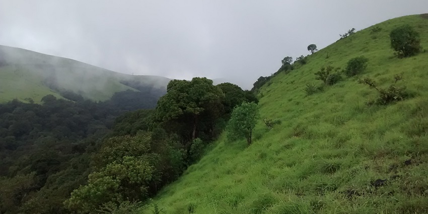 Misty hill slopes and dense forest at Kodachadri Hills, one of the beautiful places to visit near Kavaledurga.
