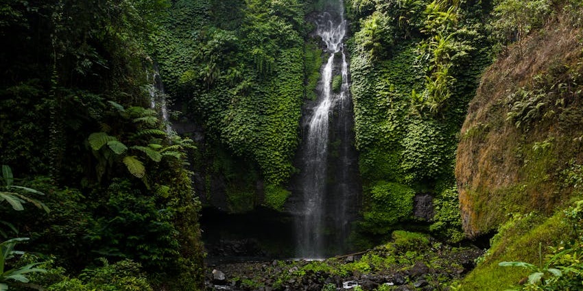 Waterfall flows into a clear pool from a cliff surrounded by thick green rainforests.
