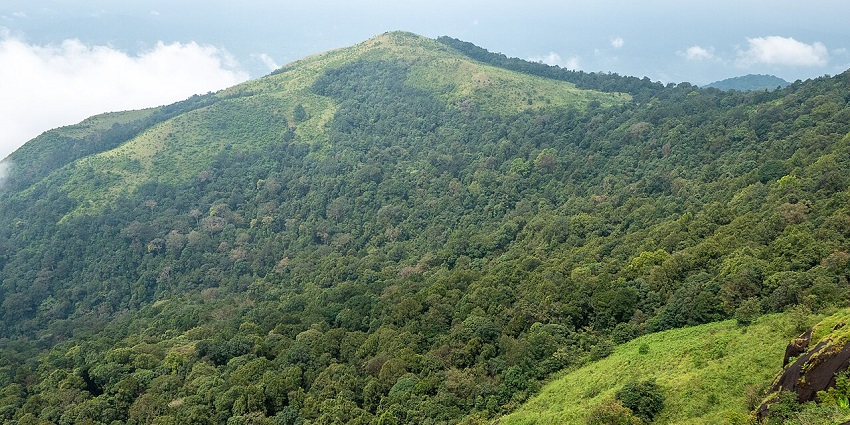 Lush green forested hills under a cloudy sky with patches of open grassy slopes.
Viewers of this file can see comments and suggestions