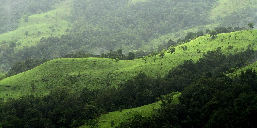 Lush Shola grasslands and forests of Kudremukha National Park, a highlight among places to visit near Hebri.
