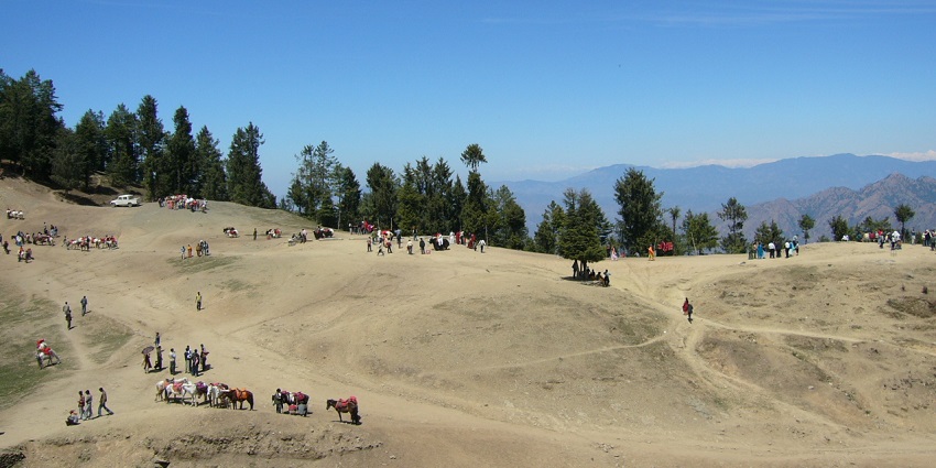 Hilltop scene at Kufri, visitors and tourists, many green pine trees, and a conifer forest