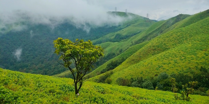 Lush green slopes of Kundadri Hills make it one of the serene places to visit near Byndoor.