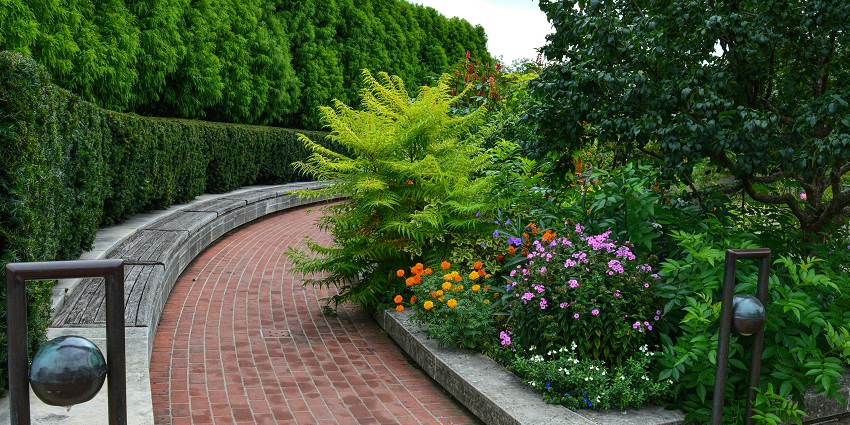 Walking path lined with flowers and shrubs at Lalbagh, one of the top places to visit near Electronic City.