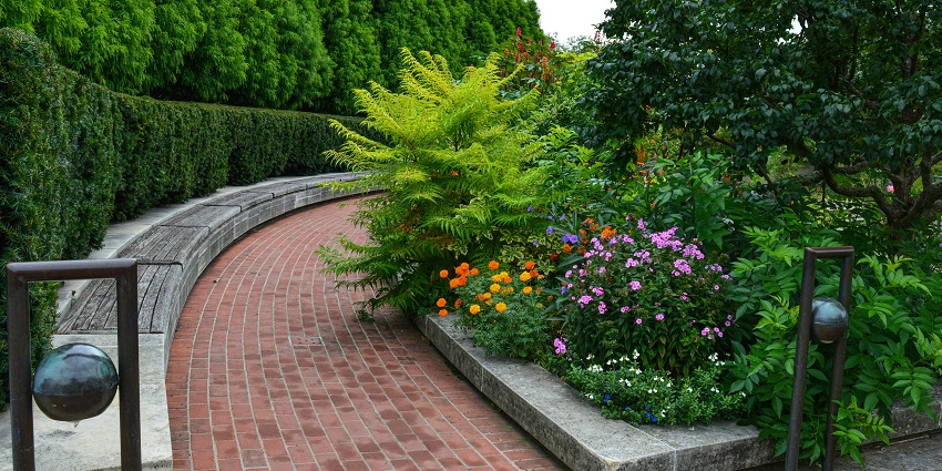 Lush greenery and a walking path at Lalbagh Botanical Garden, one of the top places to visit near Domlur.
