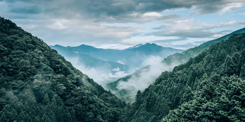 Scenic view of Assam’s Brahmaputra Valley – In which state is Kaziranga National Park located?