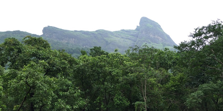 Lonavala valley with lush green trees and distant mountains, one of the places to visit near Andheri West.