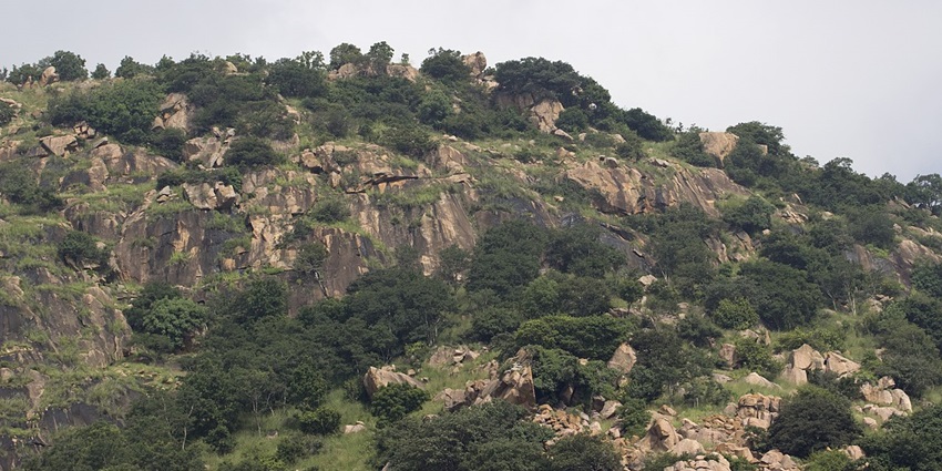 Rocky hillside of Maklidurga with green shrubs is among scenic places to visit near Dabaspet.