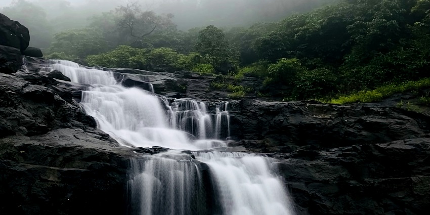 Gentle waterfall cascading over black rocks, surrounded by thick greenery and wet ground.