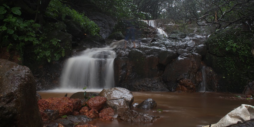 Forest waterfall gently flowing over wet rocks into a still, muddy brown pool below.