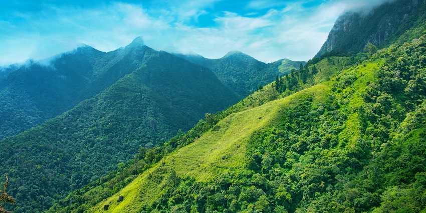 Mount Tiyi is covered in lush greenery, offering scenic views and peaceful surroundings.