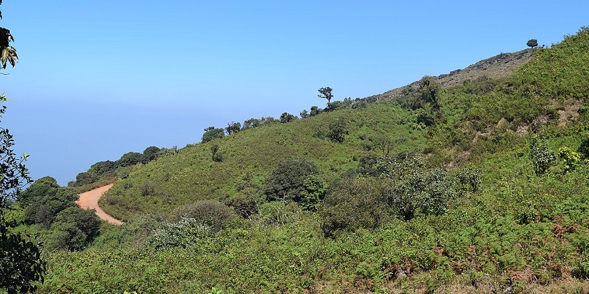 Winding dirt trail weaving through lush green hills beneath a bright blue sky above