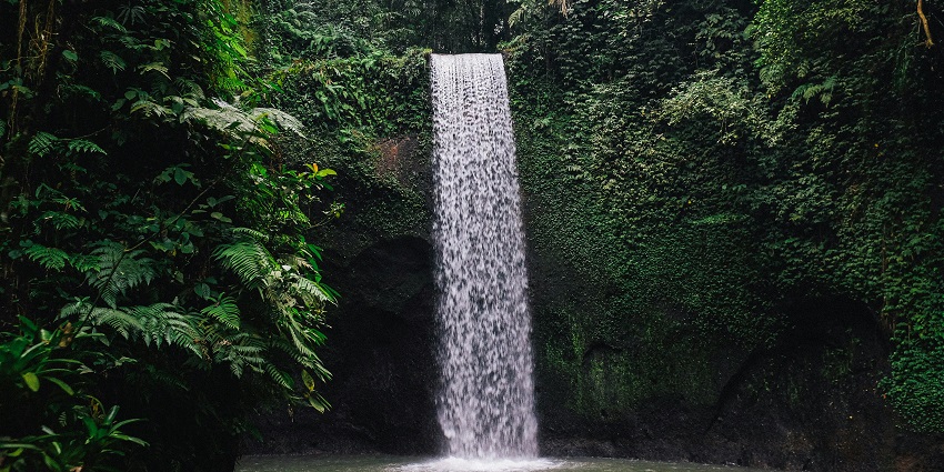 Small waterfall flowing in a lush green valley surrounded by trees at Muthyala Maduvu.