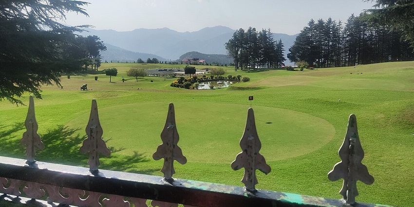 Naldehra Golf Course is surrounded by tall, dark green pine trees and distant mountains