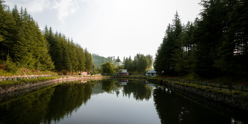 Serene lake in Narkanda surrounded by lush greenery and peaceful hills.
