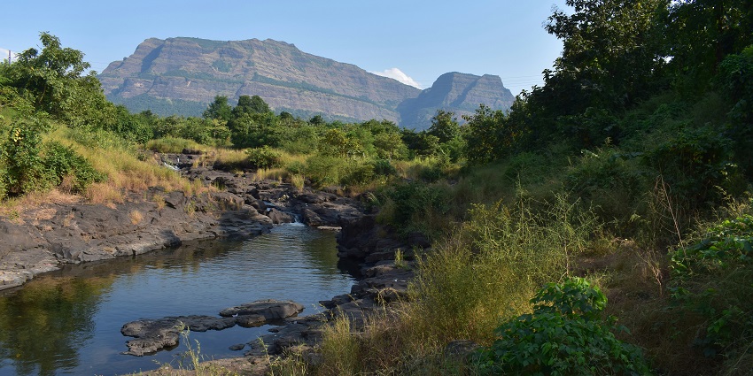 Narsobawadi riverbanks, a serene spot among the places to visit near Ichalkaranji.
