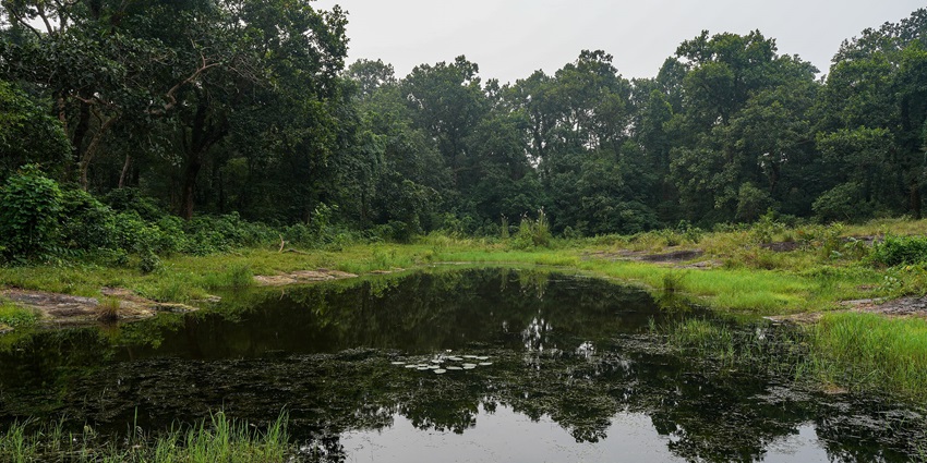 Nongkhyllem Wildlife Sanctuary with pond and grassy edges places to visit near Barapani.
