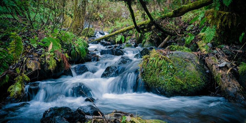 Panchpula Waterfall cascading through rocks is among places to visit near Dalhousie in December.