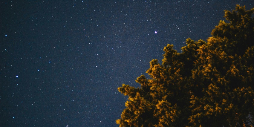 Clear night sky filled with stars in Auli showing what is Auli famous for.
