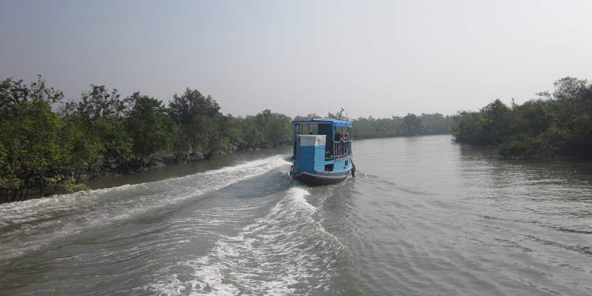 A blue boat cruises through calm river waters surrounded by dense green mangrove forests